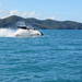Morning or Afternoon Whitsundays Whale Watching Cruise from Airlie Beach Including Snorkeling