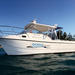 Private Half-Day or Full Day Hamilton Island or Airlie Beach Charter