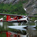 Misty Fjords and Glacier Flight Tour