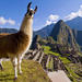 11-Day Best of Peru Tour from Lima: Andean Highlights and Machu Picchu