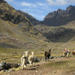 Lares Trek to Machu Picchu in 4 Days