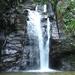Horto Waterfalls Circuit Adventure Tour in Tijuca National Park