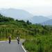 One-Day Country Biking and Panda Tour Around Qingcheng Mountain