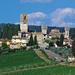 Badia a Passignano Visit and Chianti Tasting Experience