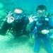 Scuba Diving for Beginners from Chania