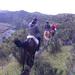 4-Day Horse Trek Through Andes or Cloud Forest