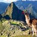 5-Day Tour to Machu Picchu: Salkantay Trek