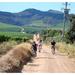 Cape Winelands Cycle Tour and Wine Tasting from Stellenbosch