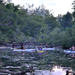 Toronto Islands Stand-Up Paddleboarding Tour