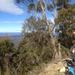 Blue Mountains Self-Guided Mountain Biking: Oaks Fire Trail from Woodford to Glenbrook