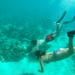 Sail and Snorkel Adventure from Vieques 
