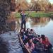 45-Minute Shared Punting Tour in Cambridge