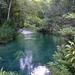 Blue Hole and River Gully Rain Forest Adventure Tour from Montego Bay