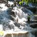 Dunn's River Falls Adventure Tour