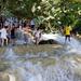 Dunn's River Falls and Fern Gully Highlight Adventure Tour from Falmouth