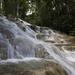 Dunn's River Falls and Fern Gully Highlight Adventure Tour from Montego Bay