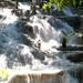 Dunn's River Falls and Fern Gully Highlight Adventure Tour from Ocho Rios