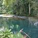 Private Tour: Blue Hole and Fern Gully Rain Forest Adventure from Negril
