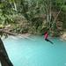 Private Tour Blue Hole and River Gully Rain Forest Adventure Tour from Kingston
