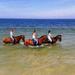 Horse Riding in Comporta 