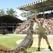 The Crocodile Hunter's Australia Zoo Admission and Transfer Combo from the Gold Coast