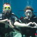 Daily Scuba Diving Trips Plus Diving Courses From Fethiye  
