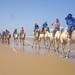 Camel ride in Essaouira: day with picnic
