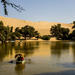 Private Tour to Huacachina from Paracas