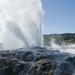 Exciting Rotorua Day Trip from Auckland