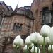 Eyup Pier Loti Hill and Chora Church: Guided Day Tour from Istanbul