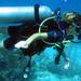 PADI 3-Day Open Water Dive Course in Playa del Carmen