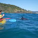 Half-Day Kayak with Dolphins and 4WD Beach Drive from Rainbow Beach