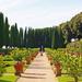 Guided Visit of Barberini Gardens at Castel Gandolfo