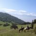 Horse Riding Tour in the Andean Foothills and Picnic in the Outdoors