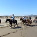 Private Coastal Horse Riding Tour in Concon and Viña del Mar and Valparaiso City Tour from Santiago