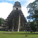 2-Day Trip to Tikal and Yaxha Ruins