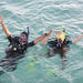 2 Dives Packages with Transfers in Tenerife