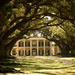 Combo Oak Alley Plantation and 6-Passenger Airboat Tour