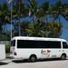 Cairns Shared Airport Arrival Transfer: Cairns CBD, Northern Beaches, Palm Cove and Port Douglas