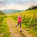 3-Day Trail and Road Running Tour of Sonoma Wine Country