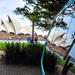 Sydney City Private Tour