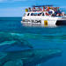 Whale Watch Excursion From The Big Island