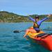 Byron Bay Dolphin Sea Kayak Tour