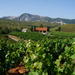 Day Tour Around Athens: Vineyards on the Trails of Classical Greece