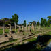 Half-Day Tour Tranquil Attica Countryside: The Temple of Artemis in Brauron