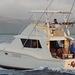 Deep Sea Half Day Exclusive Fishing Charter