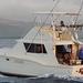 Deep Sea Half Day Shared Fishing Charter
