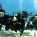 Discover Scuba Diving from Waikiki