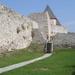 Medvedgrad Fortress: Half Day Guided Walking Tour from Zagreb 