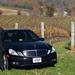 Weekday Virginia Private Custom Wine Tour from Charlottesville